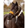 LeMieux LeMieux Vogue Headcollar - Alpine