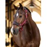 LeMieux LeMieux Vogue Headcollar - Ember