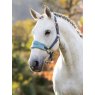 LeMieux LeMieux Vogue Headcollar - Petrol