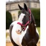 LeMieux LeMieux Logo Headcollar - Ember