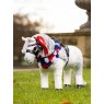 LeMieux LeMieux Toy Pony Flower Sash