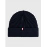 Tommy Hilfiger Tommy Hilfiger Alaska Flag Beanie - Desert Sky