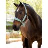 LeMieux Versailles Headcollar - Aqua