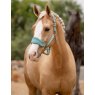 LeMieux Vogue Headcollar - Lagoon