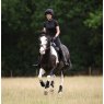 Shires Shires Aubrion React Base Layer - Young Rider