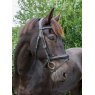 EcoRider Ecorider Ecosoft Luxe Bridle